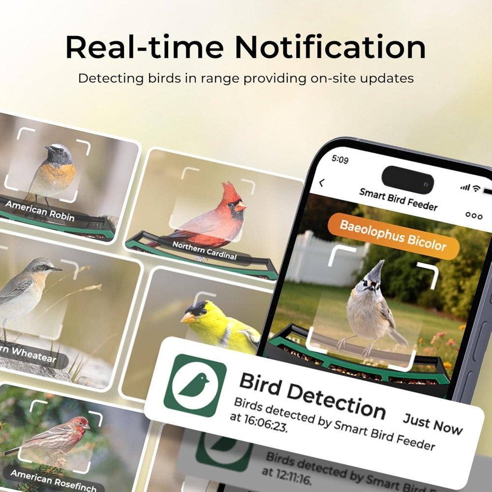 Smart Bird Feeder with Camera, - مراجعة Smart Bird Feeder Camera وسعره