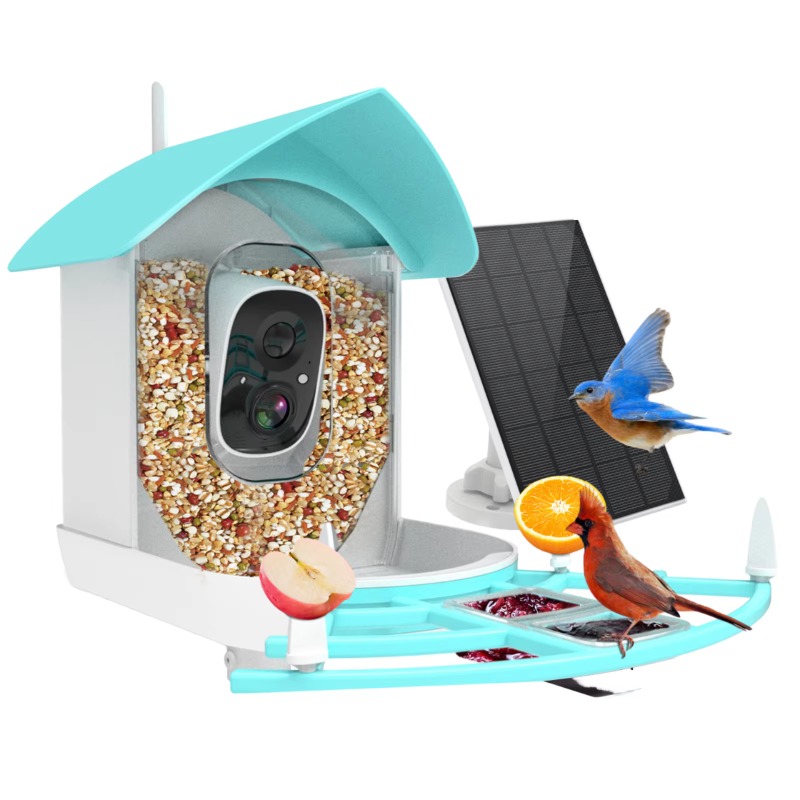 Smart Bird Feeder Night Vision - مراجعة Smart Bird Feeder Camera وسعره