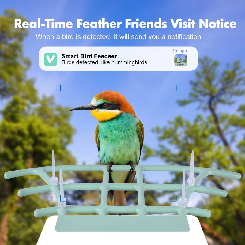 Smart Bird Feeder Night Vision - مراجعة Smart Bird Feeder Camera وسعره