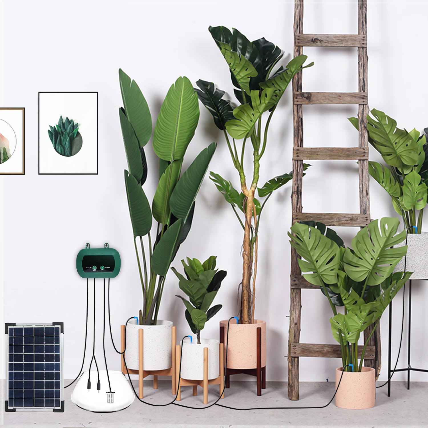 Solar Hydroponics Equipment  M - مراجعة Smart Gardening وسعره