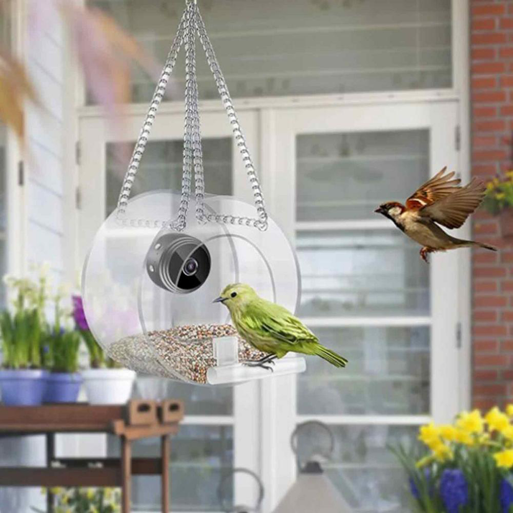 Smart Feeding House Acrylic wi - مراجعة Smart Bird Feeder Camera وسعره