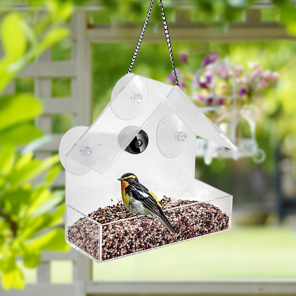 Smart Feeding House Acrylic wi - مراجعة Smart Bird Feeder Camera وسعره