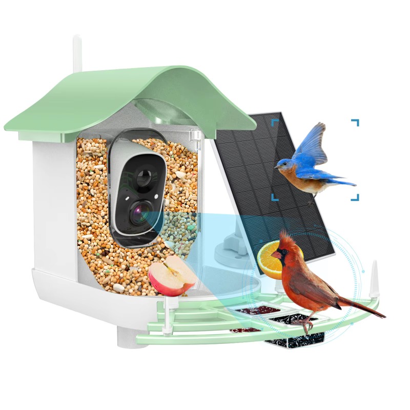 2026 App Video Auto Capture Ca - مراجعة Smart Bird Feeder Camera وسعره