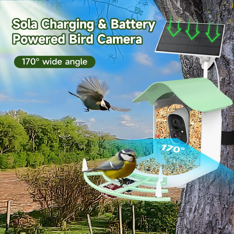 2026 App Video Auto Capture Ca - مراجعة Smart Bird Feeder Camera وسعره
