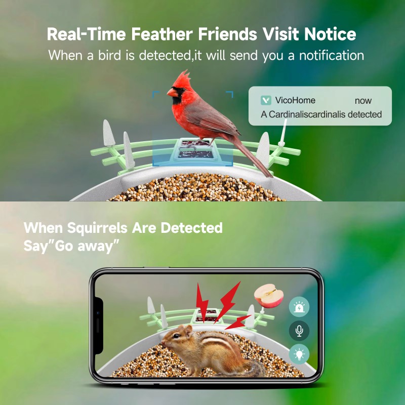 2026 App Video Auto Capture Ca - مراجعة Smart Bird Feeder Camera وسعره